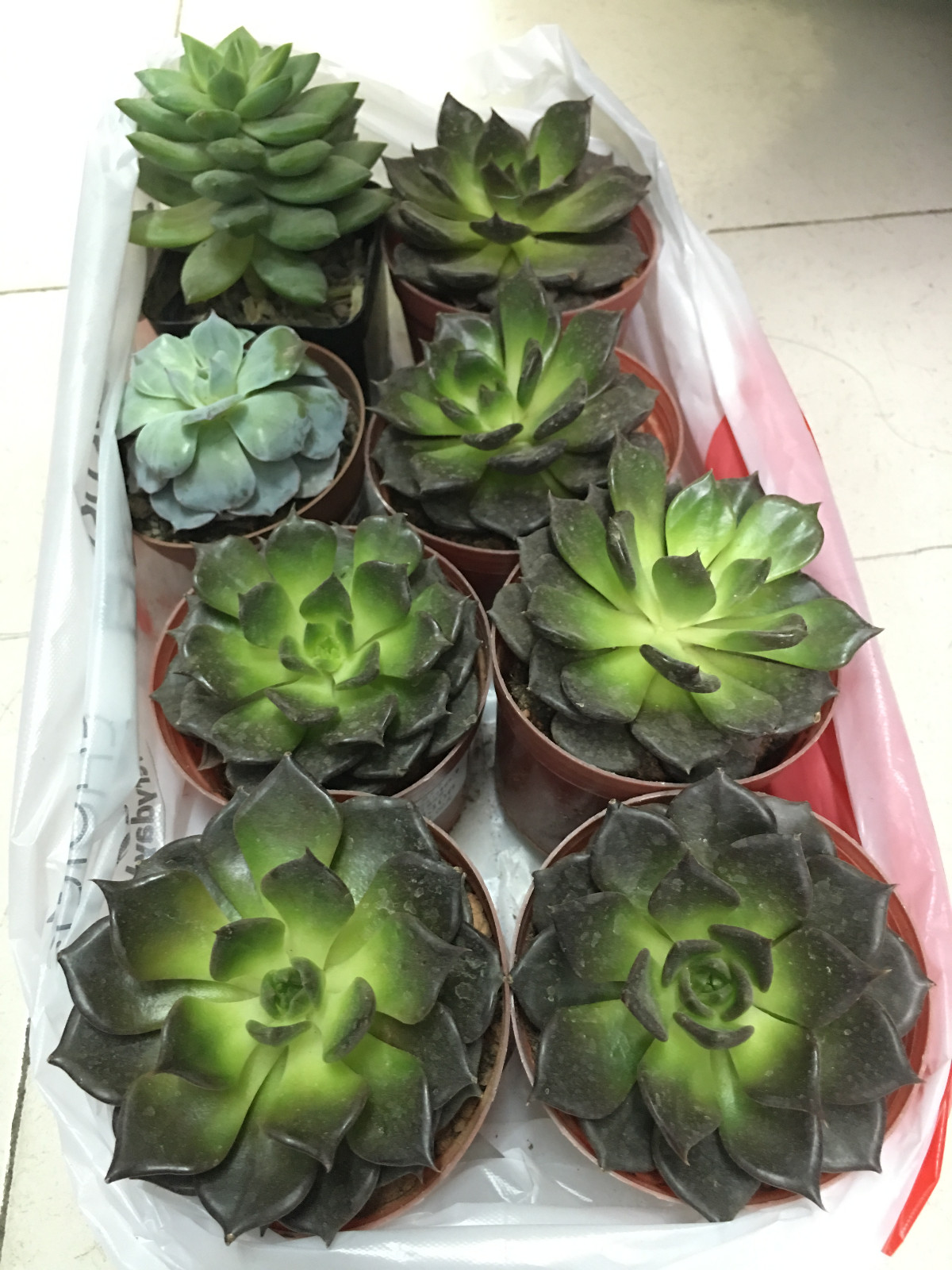 奖品.JPG 奖品.JPG